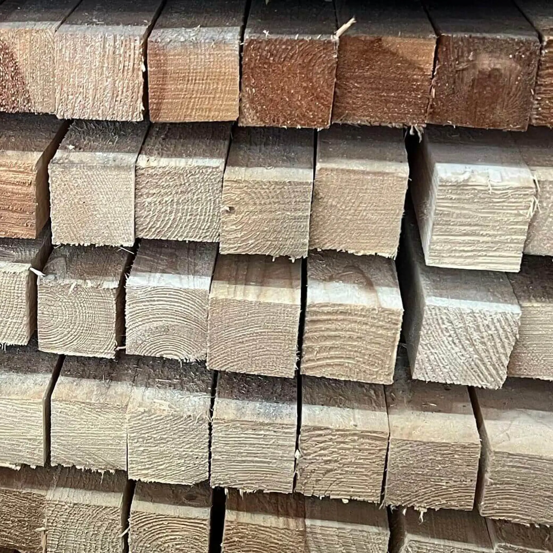 Pine Batten Rough - 50x50x2400
