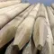 Pine Turned Poles - 50x1500mm